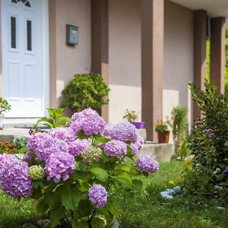 Kuca Bulajic Apartment Budva Exterior photo
