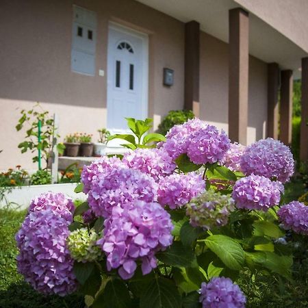 Kuca Bulajic Apartment Budva Exterior photo